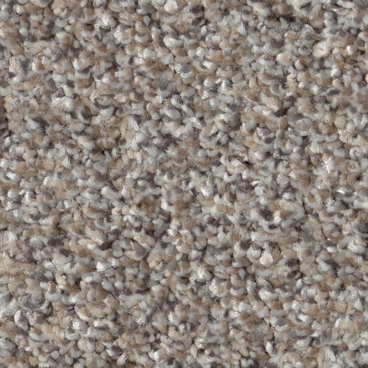 Cameo Carpet Swatch